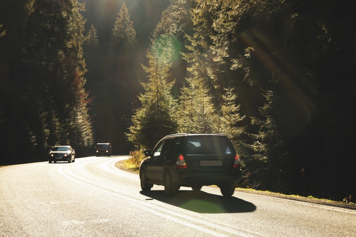 Road in Ukrainian Carpathian mountains in sunny day